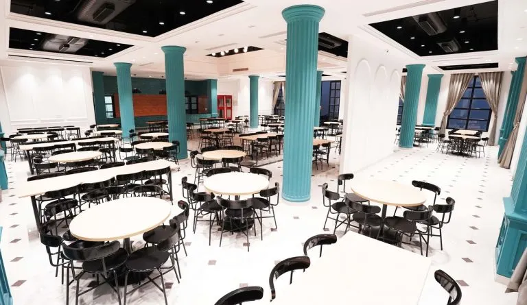 UPES university
