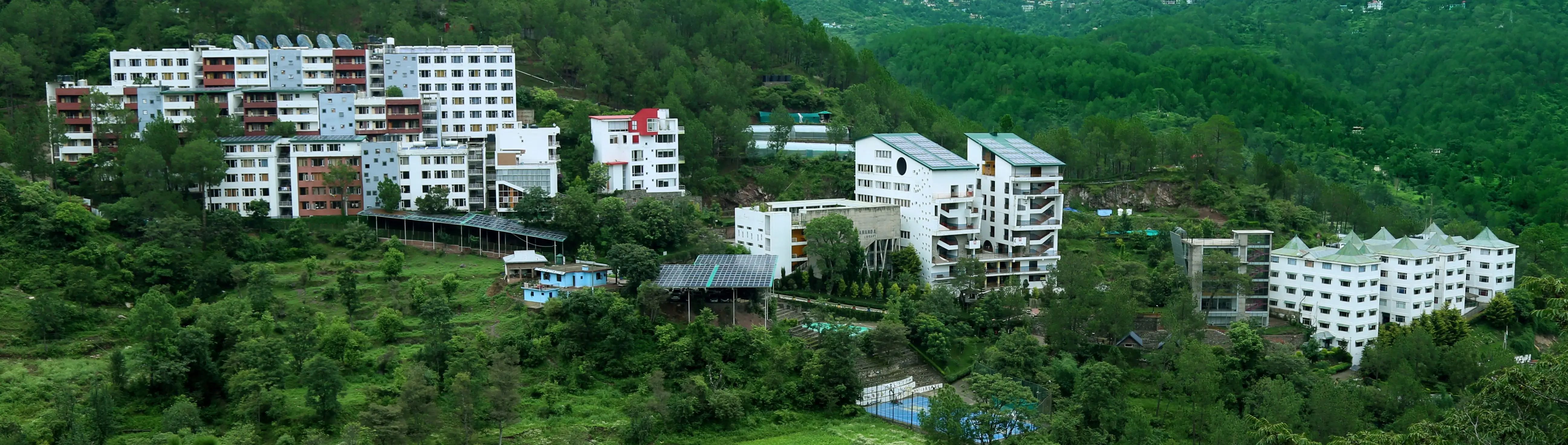 dy patil University image